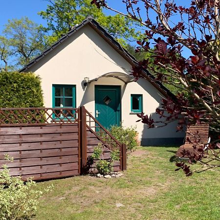 „Rentmeisterhaus Basedow“ Basedow  Exterior foto