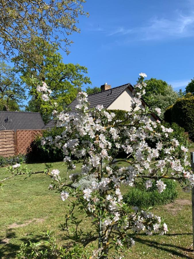 „Rentmeisterhaus Basedow“ Basedow  Exterior foto